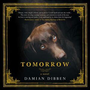 Tomorrow by Damian Dibben