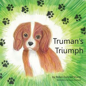Truman's Triumph by Robin Conrad Sturm