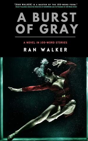 A Burst of Gray: A Novel in 100-Word Stories by Ran Walker