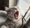 eryn_reads's profile picture