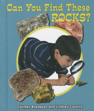 Can You Find These Rocks? by Lindsey Cousins, Carmen Bredeson