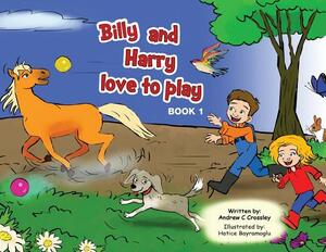 Billy and Harry love to play by Andrew Crossley
