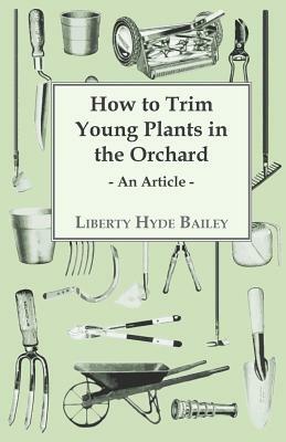 How to Trim Young Plants in the Orchard - An Article by L. H. Bailey