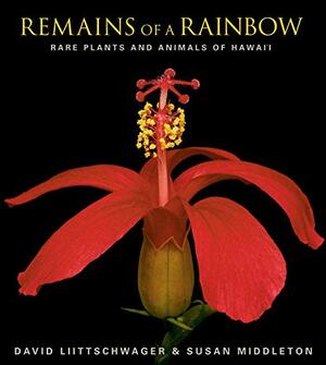 Remains of a Rainbow: Rare Plants and Animals of Hawaii by Susan Middleton, David Liittschwager, W.S. Merwin, David S. Wilcove