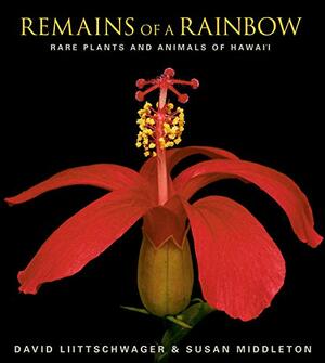 Remains of a Rainbow: Rare Plants and Animals of Hawaii by David S. Wilcove, Susan Middleton, W.S. Merwin, David Liittschwager