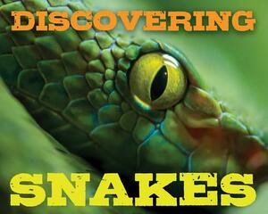 Discovering Snakes Handbook by Cider Mill Press