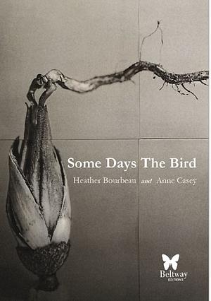 Some Days the Bird by Anne Casey, Heather Bourbeau