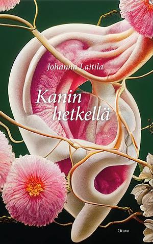 Kanin hetkellä by Johanna Laitila