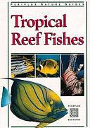 Tropical Reef Fishes by Roger C. Steene, Gerald R. Allen, Gerald Allen