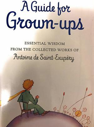 A Guide for Grown-ups: Essential Wisdom from the Collected Works of Antoine de Saint-Exupry by Antoine de Saint-Exupéry