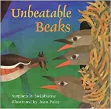 Unbeatable Beaks by Stephen R. Swinburne