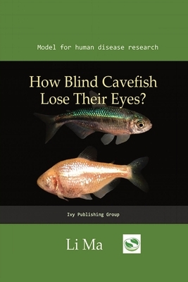 How Blind Cavefish Lose Their Eyes?: A hypomorphic cystathionine ß-synthase gene contributes to cavefish eye loss by disrupting optic vasculature by Li Ma