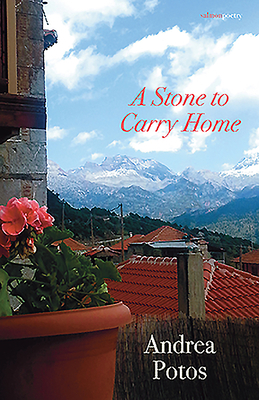 A Stone to Carry Home by Andrea Potos