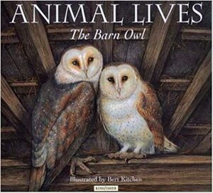 The Barn Owl by Sally Tagholm
