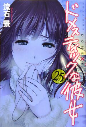 Domestic Girlfriend, Vol. 25 by 流石景, Kei Sasuga
