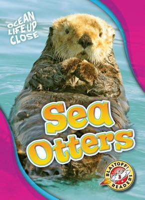 Sea Otters by Nathan Sommer