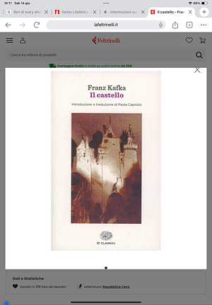 Il castello by Franz Kafka