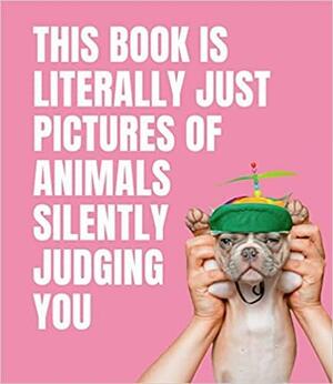 This Book is Literally Just Pictures of Animals Silently Judging You by Smith Street Books