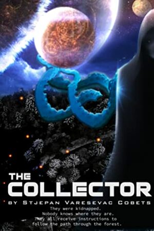 The Collector by Stjepan Varesevac Cobets