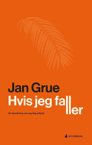 Hvis jeg faller by Jan Grue