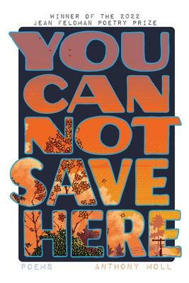 You Cannot Save Here: Poems by Anthony Moll