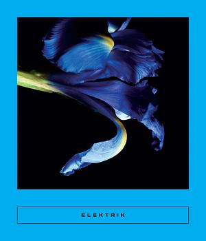 Elektrik: Caribbean Writing by Sarah Coolidge