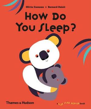 How Do You Sleep? by Bernard Duisit, Olivia Cosneau