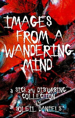 Images From a Wandering Mind: A Sick and Disturbing Collection by Soleil Daniels