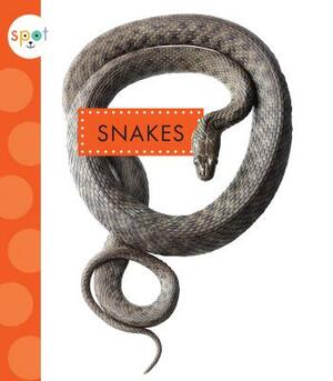 Snakes by Mari Schuh