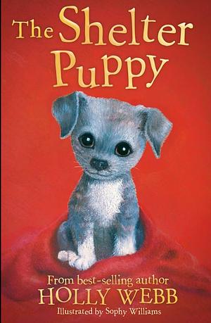 The Shelter Puppy by Holly Webb, Sophy Williams