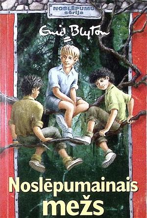 Noslēpumainais mežs by Enid Blyton