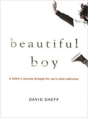 Beautiful Boy: A Father's Journey through His Son's Addiction by David Sheff, Anthony Heald