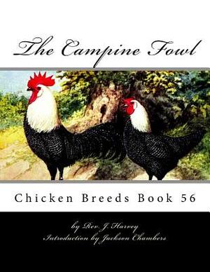 The Campine Fowl: Chicken Breeds Book 56 by J. Harvey