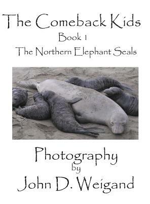 "the Comeback Kids" Book 1, the Northern Elephant Seals by Penelope Dyan