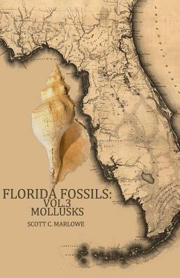 Florida Fossils: Mollusks by Scott C. Marlowe