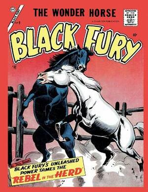 Black Fury # 9 by Charlton Comics Group