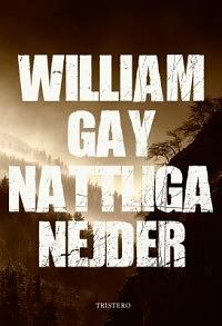 Nattliga nejder by William Gay