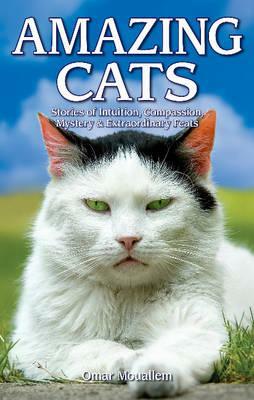 Amazing Cats: Stories of Intuition, Compassion, Mystery & Extraordinary Feats by Omar Mouallem