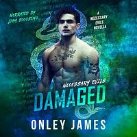 Damaged by Onley James