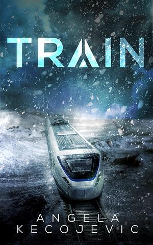 TRAIN was withdrawn prior to publication (due to publisher closure). Reviews were pre publication. It will now be released in 2026 with Neem Tree Press by Angela Kecojevic, Angela Kecojevic