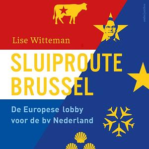 Sluiproute Brussel by Lise Witteman