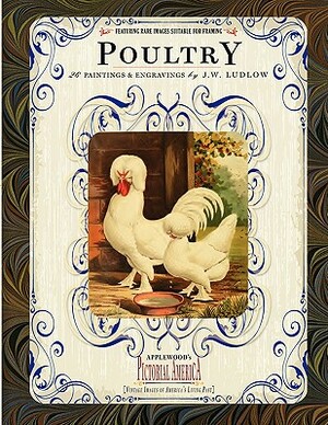 Poultry: 26 Paintings and Engravings by J. W. Ludlow by 