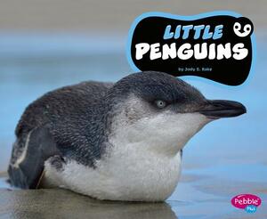 Little Penguins by Jody S. Rake