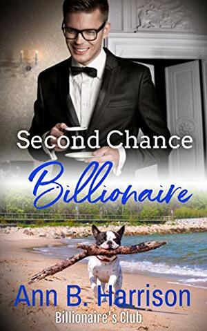 Second Chance Billionaire by Ann B. Harrison