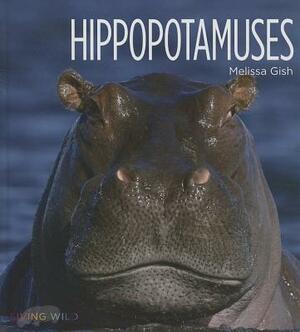 Hippopotamuses by Melissa Gish