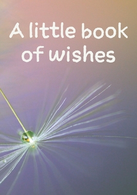 A little book of wishes by Vivienne Ainslie