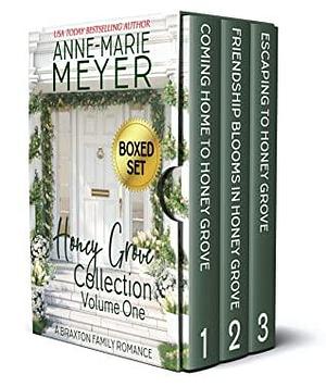 Honey Grove Volume One: Books 1-3: A Sweet Family Saga Three Book Collection by Anne-Marie Meyer