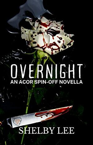 Overnight by Shelby Lee