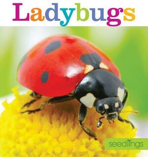 Seedlings: Ladybugs by Aaron Frisch