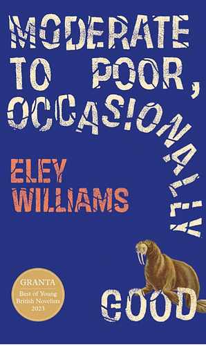 Moderate to Poor, Occasionally Good by Eley Williams